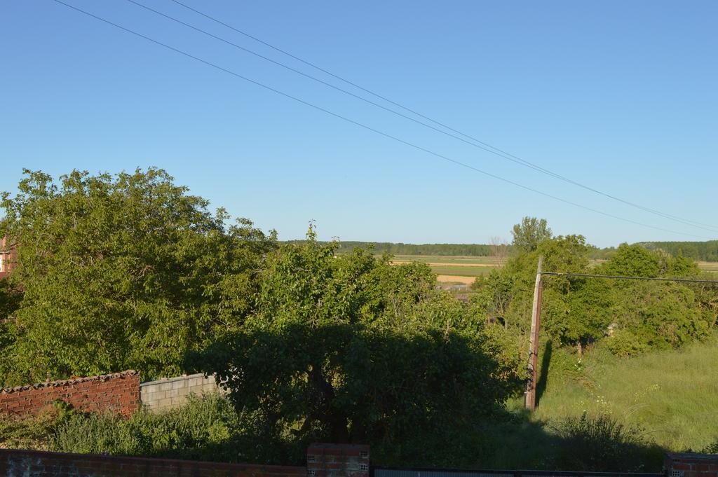 Casa Rural Los Llaganos Vendégház Villaturiel Kültér fotó