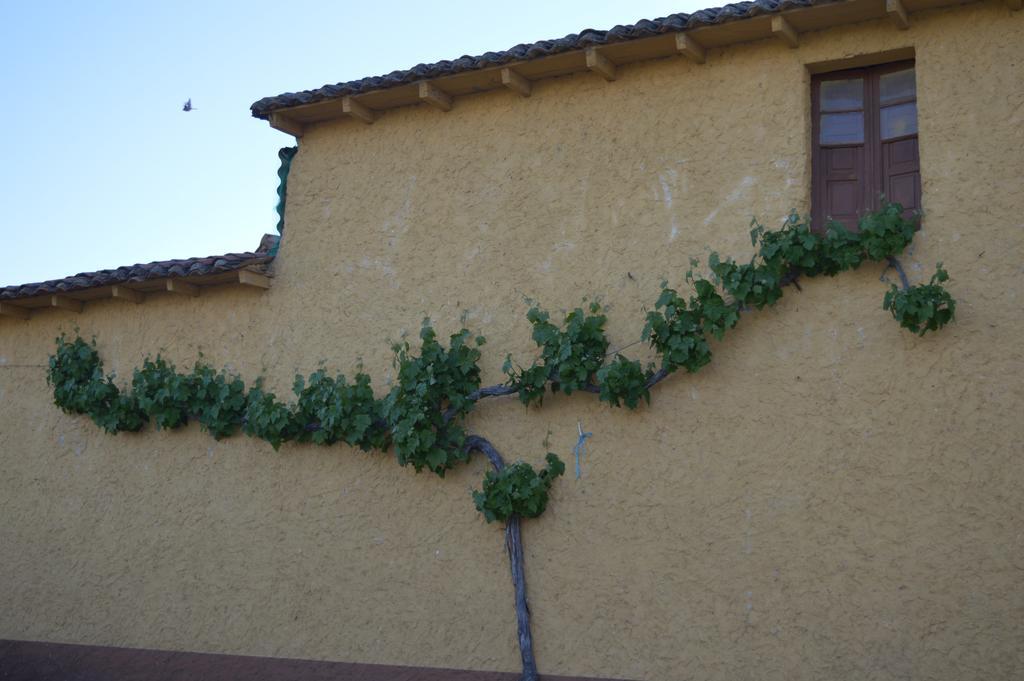 Casa Rural Los Llaganos Vendégház Villaturiel Kültér fotó